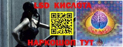 твердый Камышлов