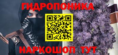 твердый Камышлов