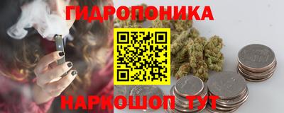 твердый Камышлов